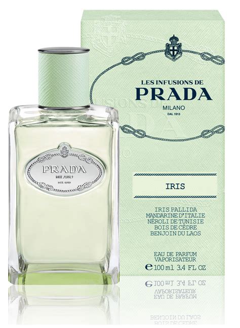 prada infusion d iris 100ml|prada infusion d'iris reviews.